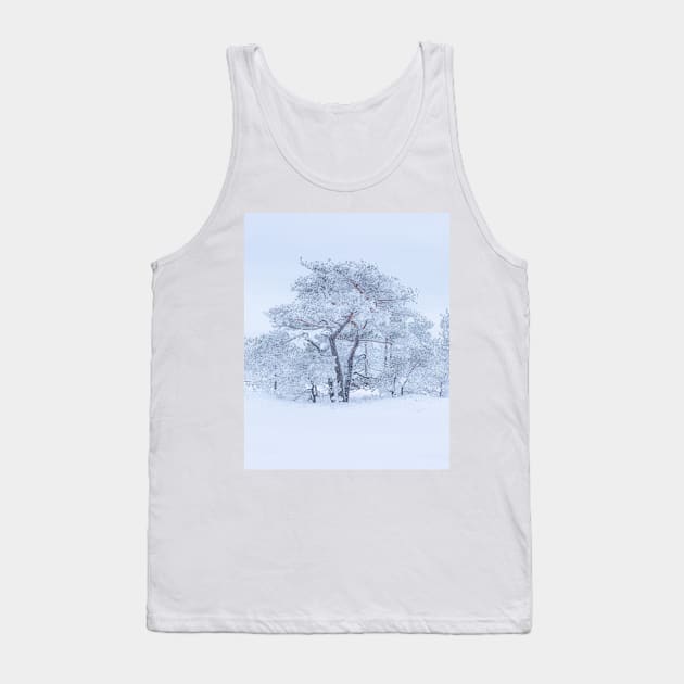 Pine tree covered in hoarfrost Tank Top by Juhku